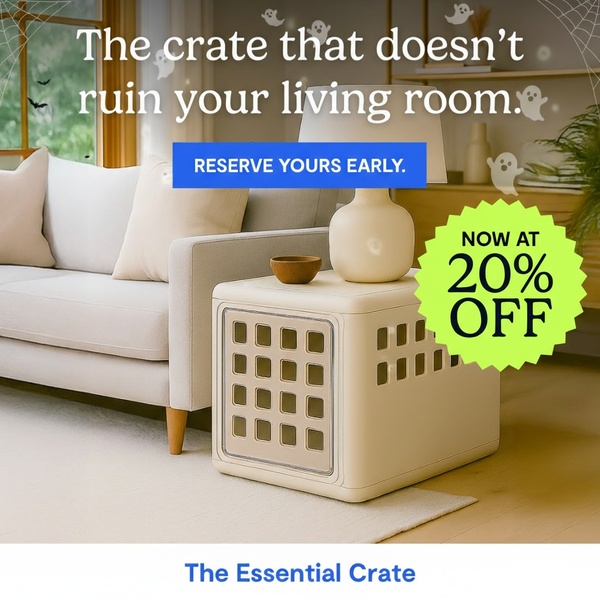 dog crate, pet kennel, dog crate furniture, pet carrier, indoor dog crate, discount offer, holiday sale, lifestyle, calm, trustworthy, neutral, yellow, halloween